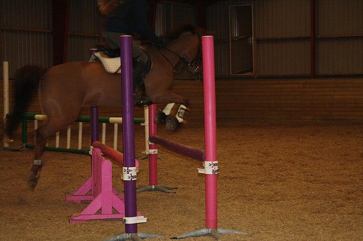 Lysthøjgård<3 billede 25