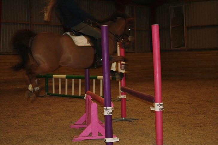 Lysthøjgård<3 billede 26