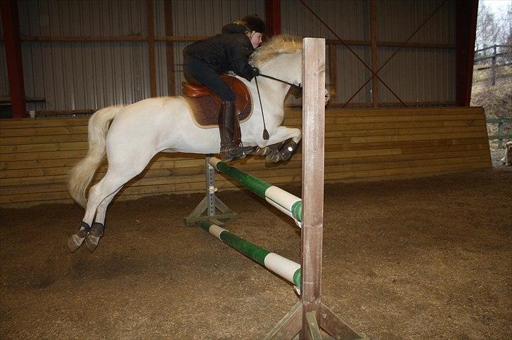 Lysthøjgård<3 billede 27