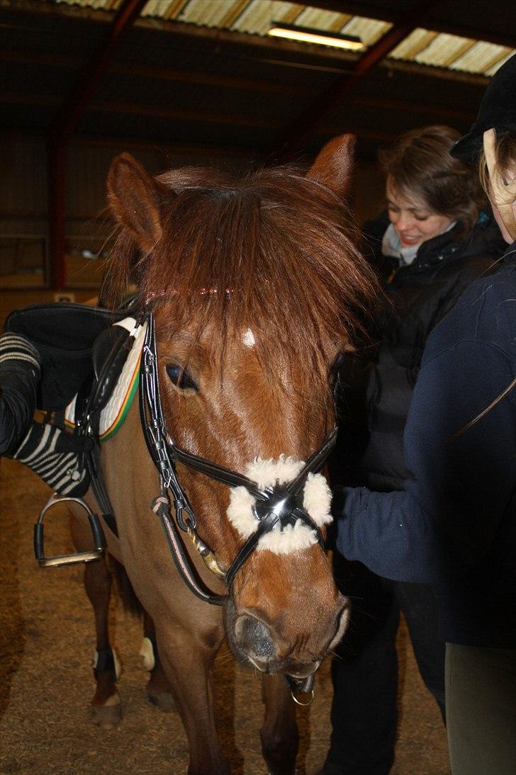 Lysthøjgård<3 billede 28