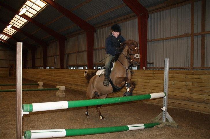 Lysthøjgård<3 billede 29