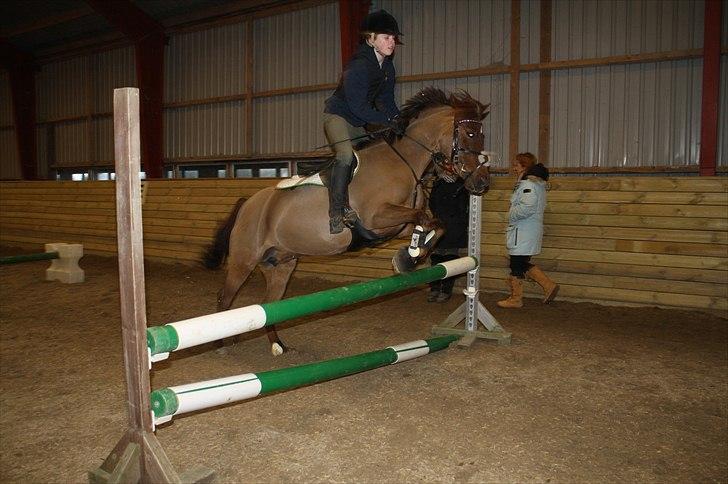 Lysthøjgård<3 billede 30