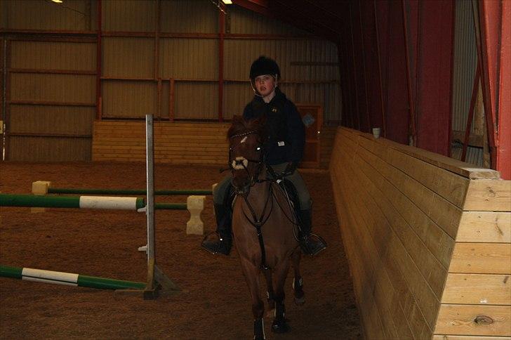 Lysthøjgård<3 billede 31