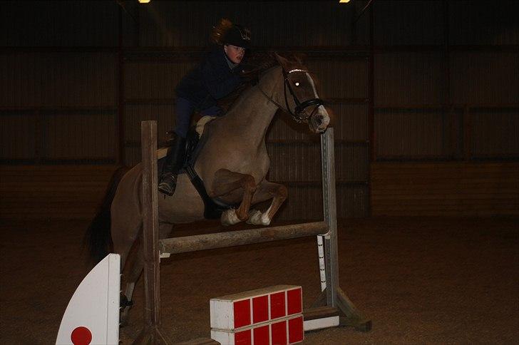 Lysthøjgård<3 billede 32