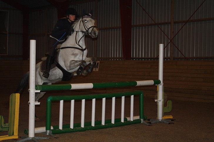 Lysthøjgård<3 billede 33