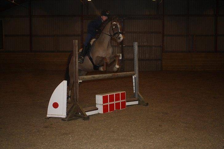 Lysthøjgård<3 billede 34