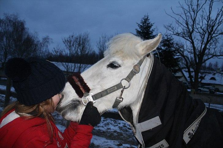 Lysthøjgård<3 billede 35