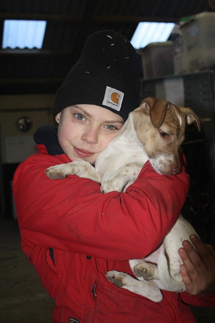 Lysthøjgård<3 billede 37