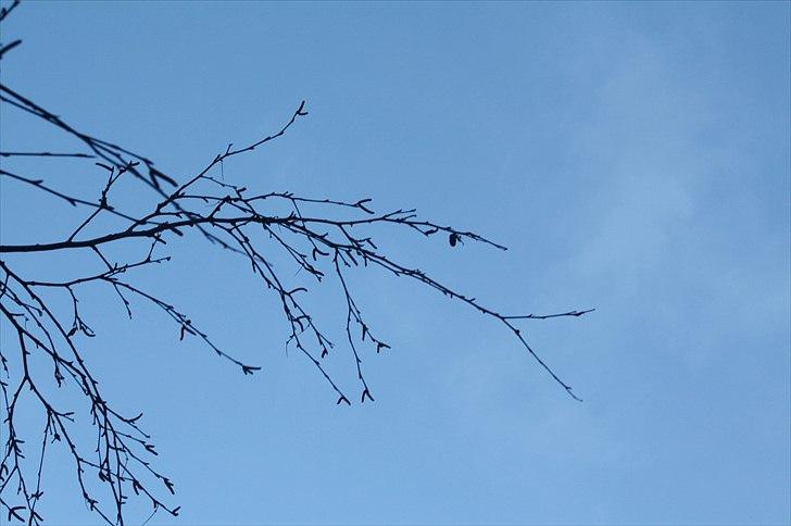 Lysthøjgård<3 billede 38