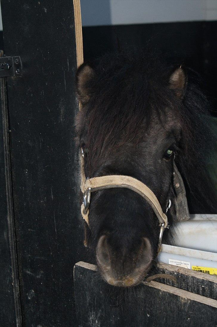 Lysthøjgård<3 billede 40