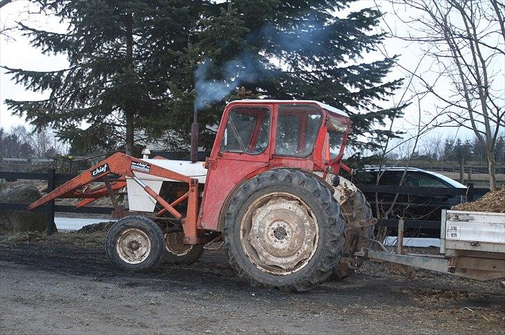 Lysthøjgård<3 billede 42