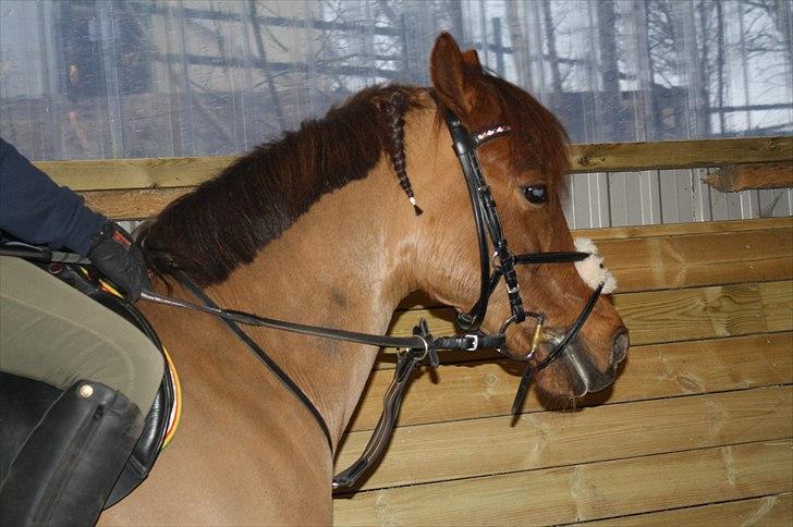 Lysthøjgård<3 billede 47