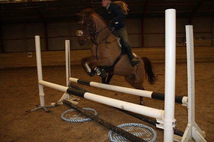 Lysthøjgård<3 billede 48