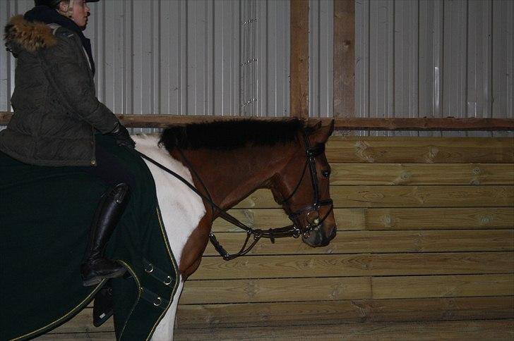 Lysthøjgård<3 billede 49