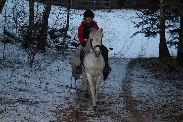 Lysthøjgård<3 billede 50