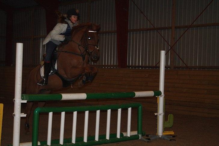 Lysthøjgård<3 billede 52