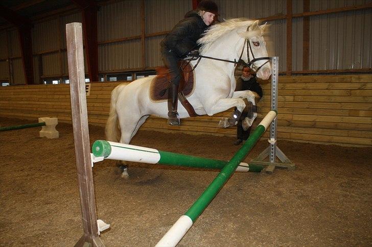 Lysthøjgård<3 billede 54