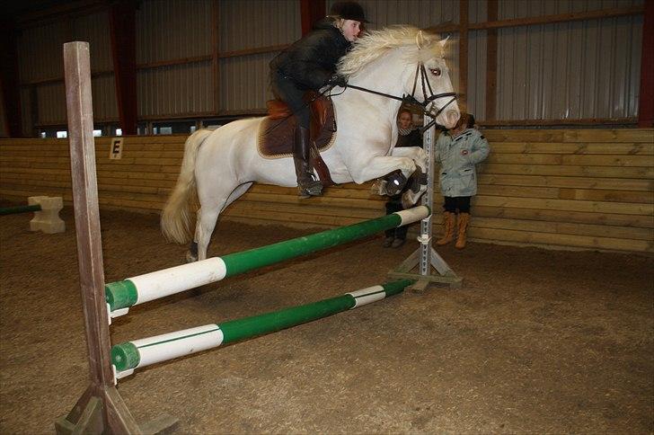 Lysthøjgård<3 billede 56