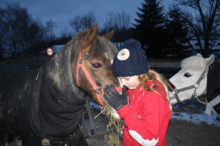 Lysthøjgård<3 billede 57