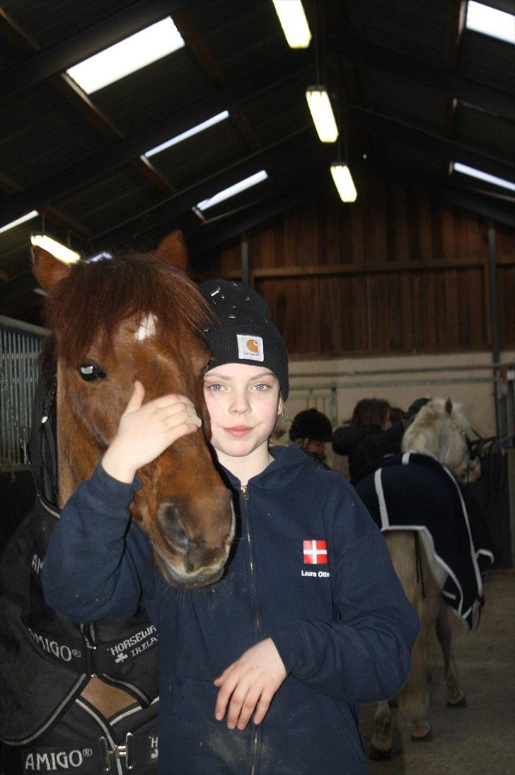 Lysthøjgård<3 billede 58