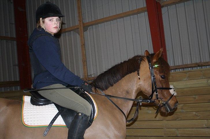 Lysthøjgård<3 billede 59