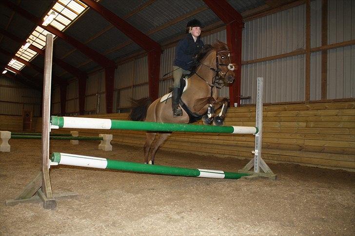 Lysthøjgård<3 billede 60