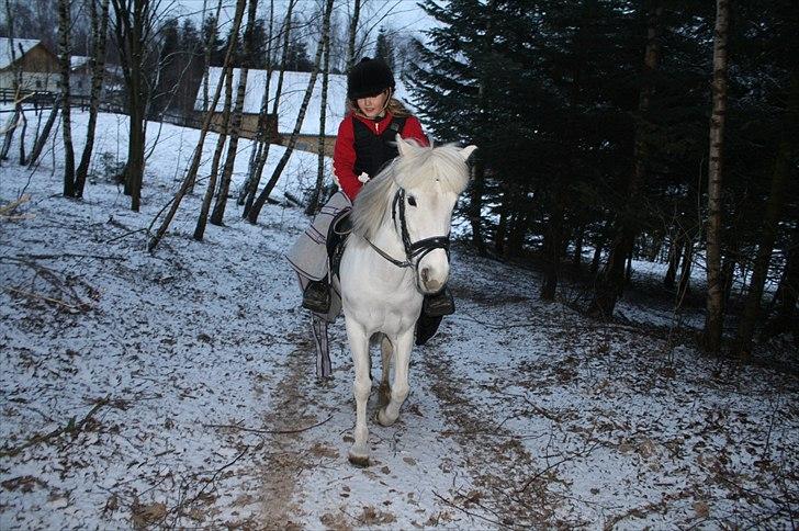 Lysthøjgård<3 billede 61