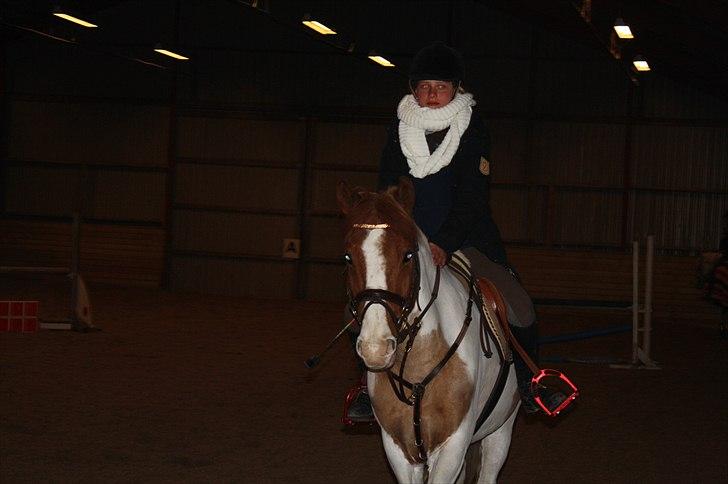 Lysthøjgård<3 billede 68