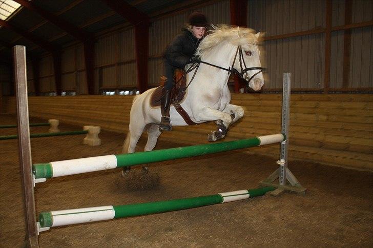 Lysthøjgård<3 billede 70