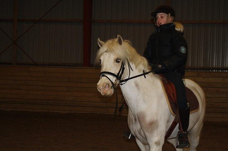 Lysthøjgård<3 billede 71