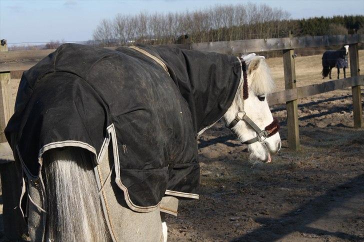 Lysthøjgård<3 billede 72