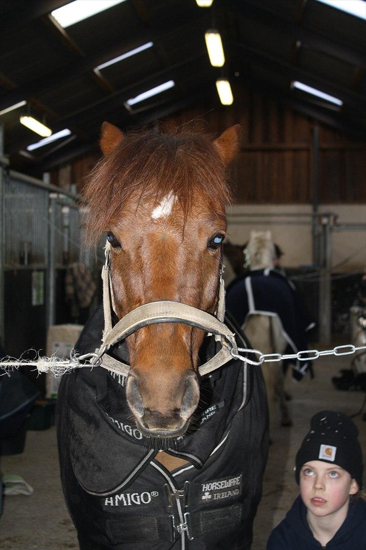 Lysthøjgård<3 billede 75