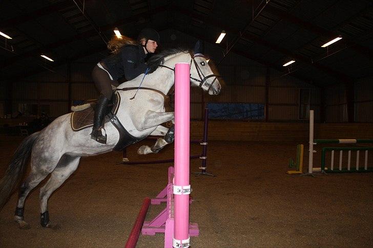 Lysthøjgård<3 billede 77