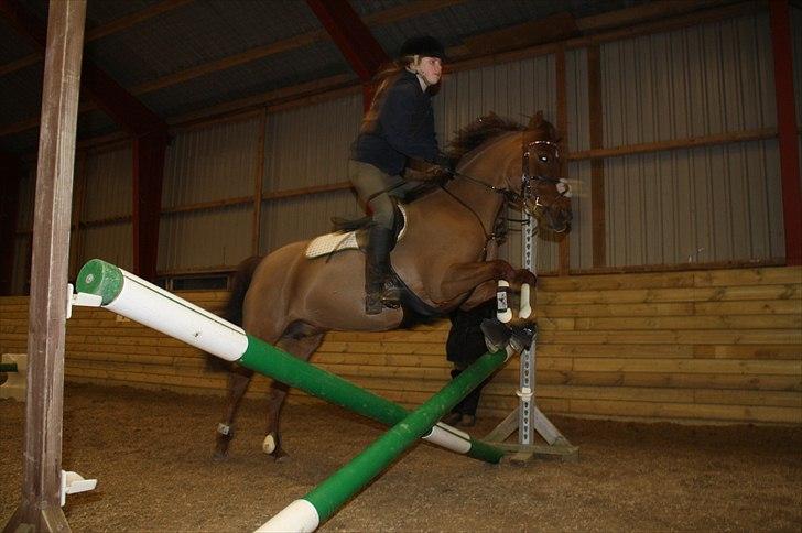 Lysthøjgård<3 billede 81