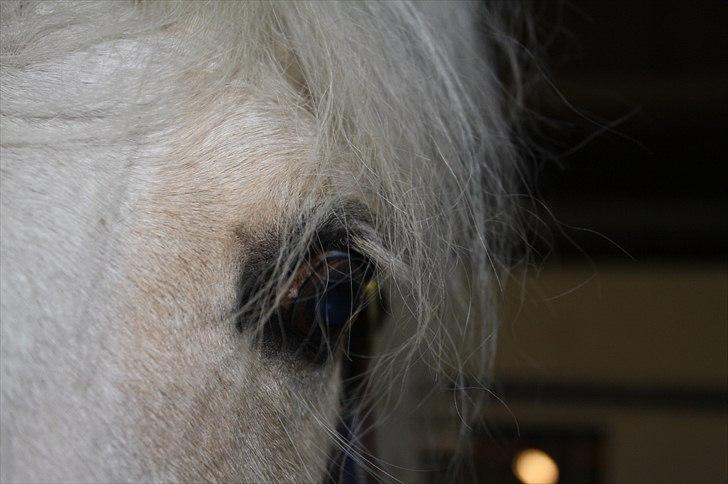 Lysthøjgård<3 billede 82