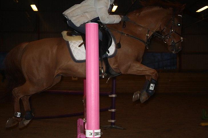 Lysthøjgård<3 billede 83