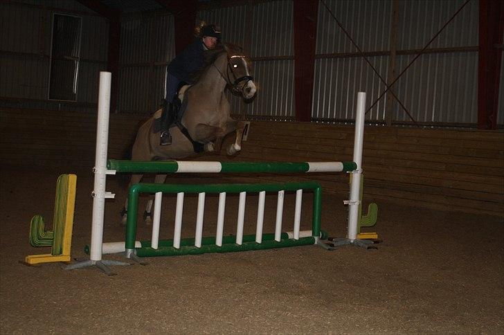 Lysthøjgård<3 billede 84