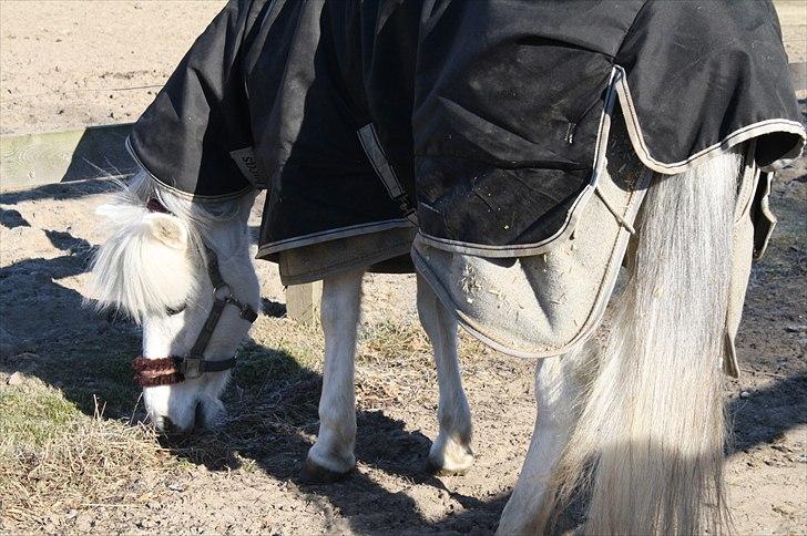 Lysthøjgård<3 billede 85