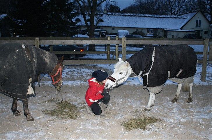 Lysthøjgård<3 billede 88