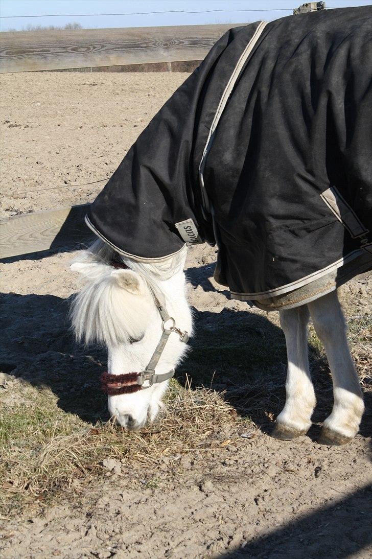 Lysthøjgård<3 billede 89