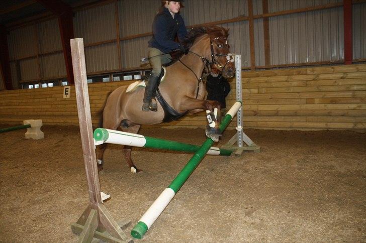 Lysthøjgård<3 billede 93