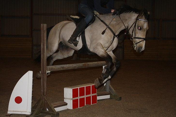 Lysthøjgård<3 billede 94