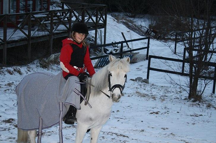 Lysthøjgård<3 billede 95