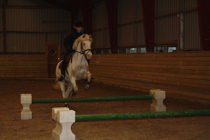 Lysthøjgård<3 billede 96