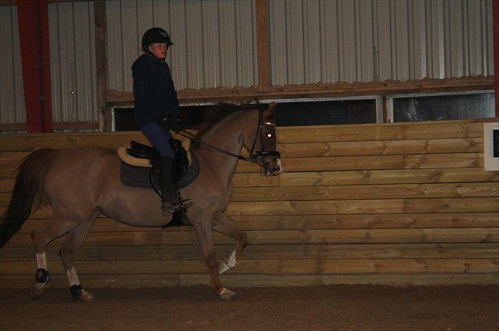 Lysthøjgård<3 billede 98