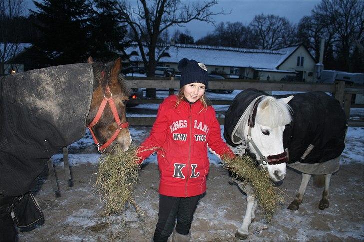 Lysthøjgård<3 billede 100