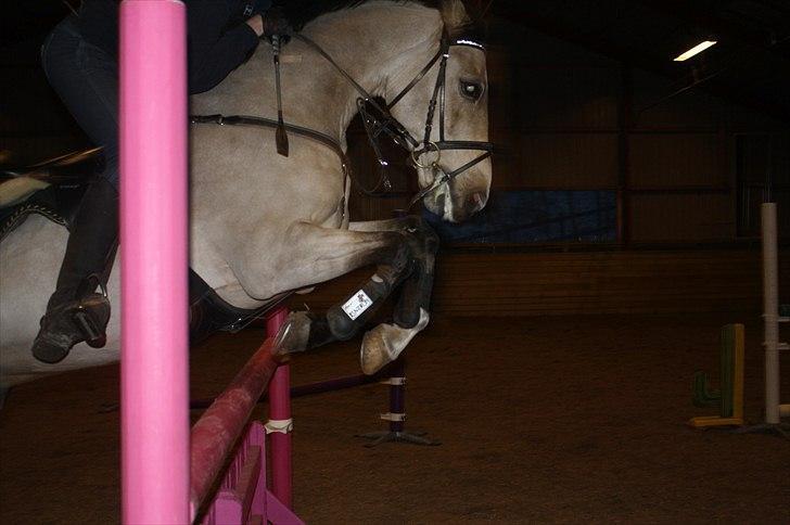 Lysthøjgård<3 billede 104