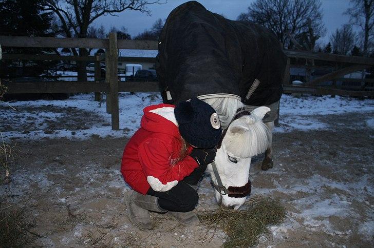 Lysthøjgård<3 billede 105