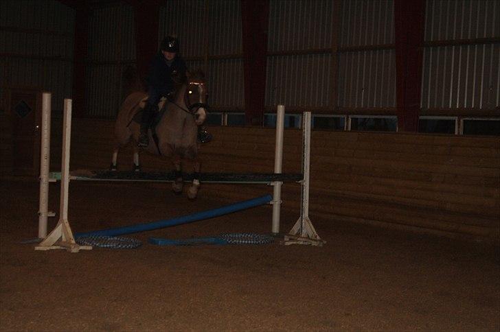 Lysthøjgård<3 billede 107