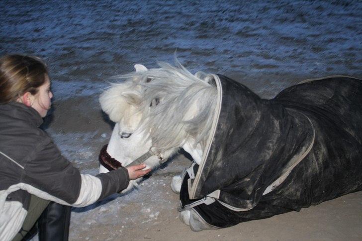 Lysthøjgård<3 billede 108